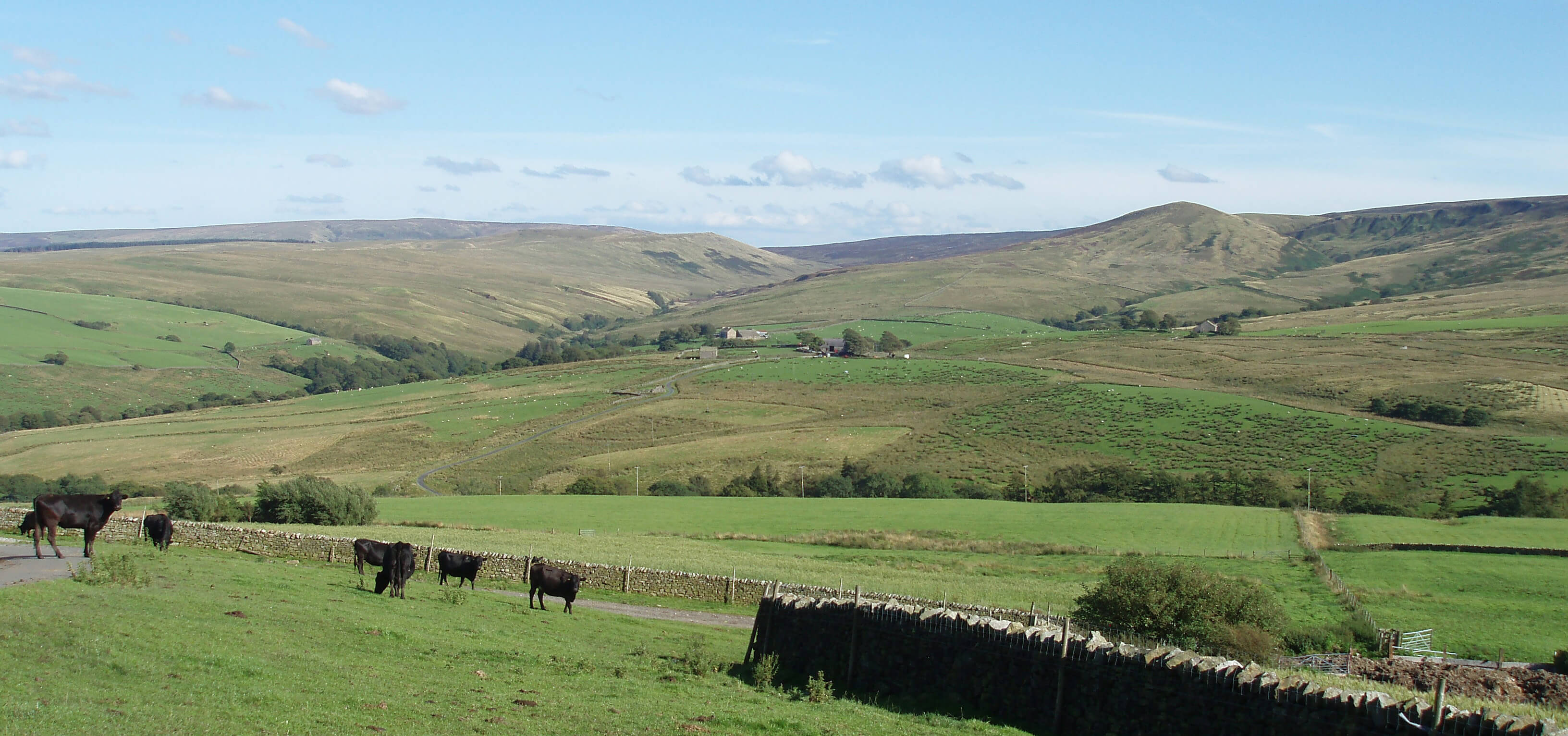 lune from wenning