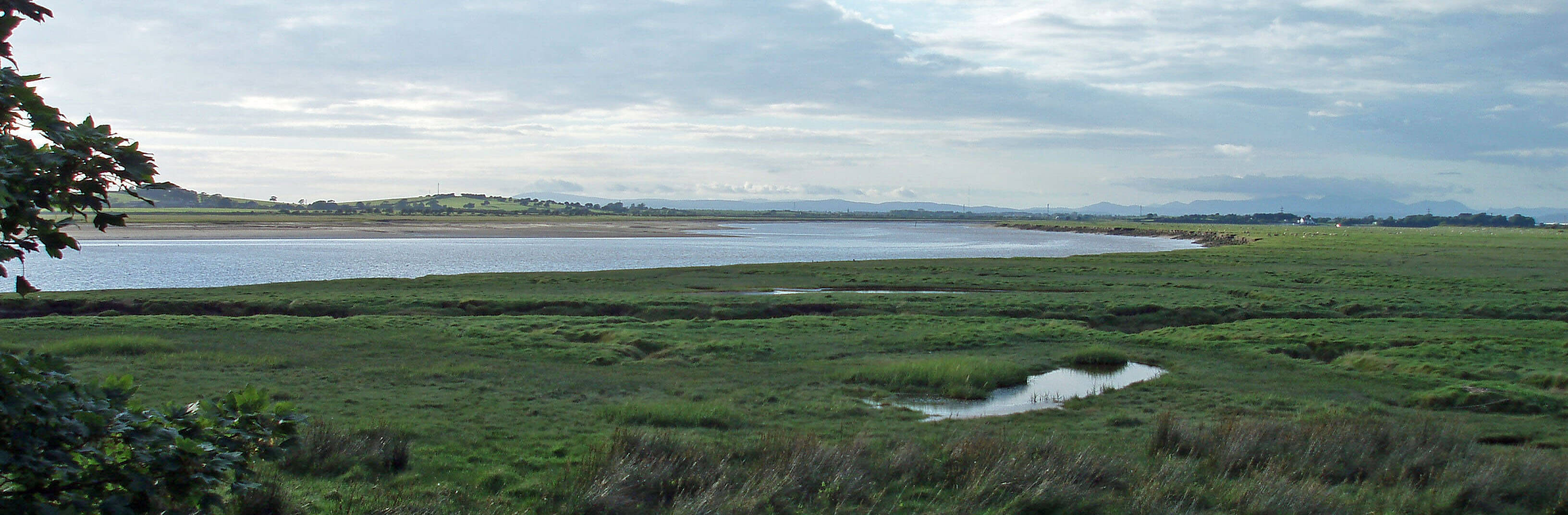 aldcliffe marsh