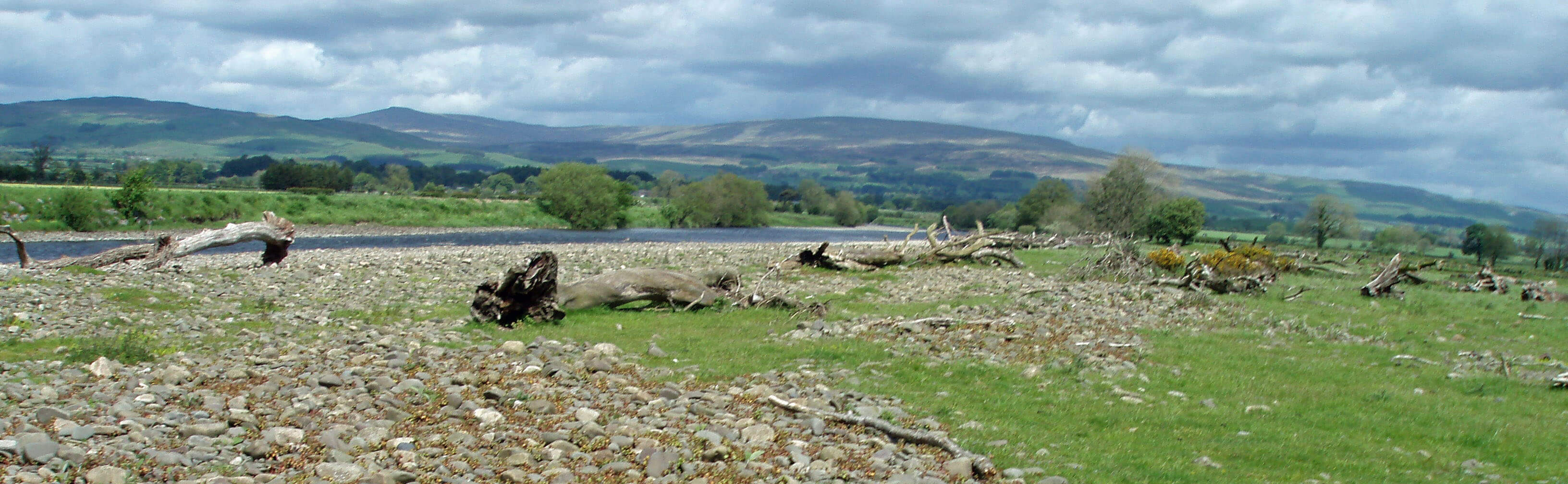 lune and logs