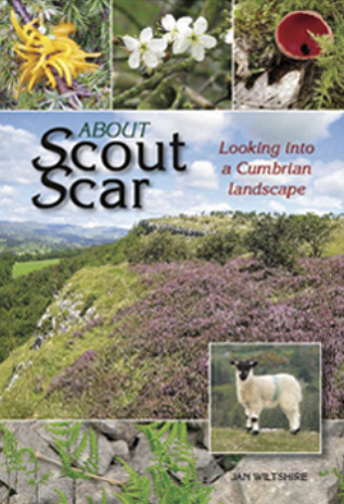 scout scar book