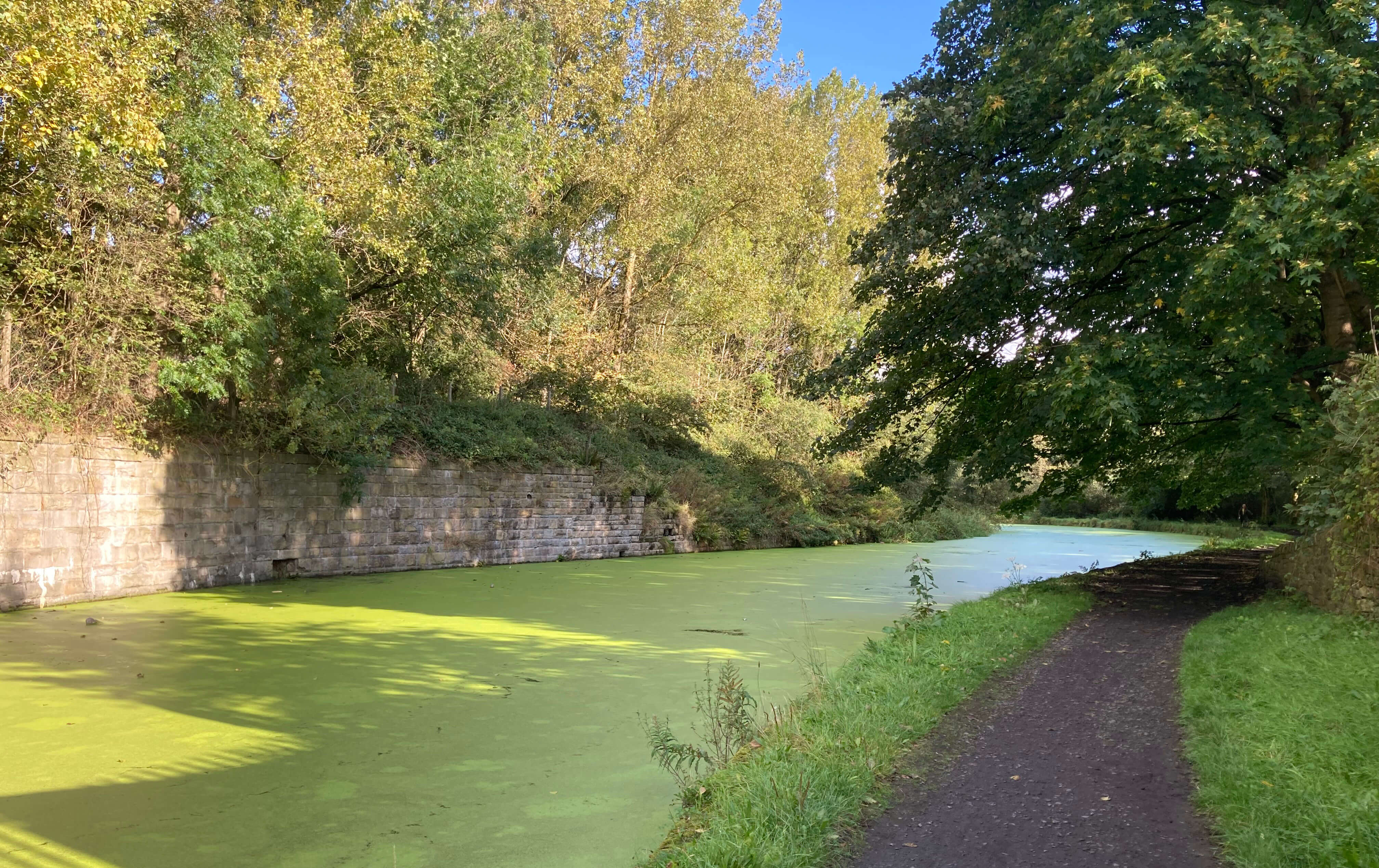 green canal
