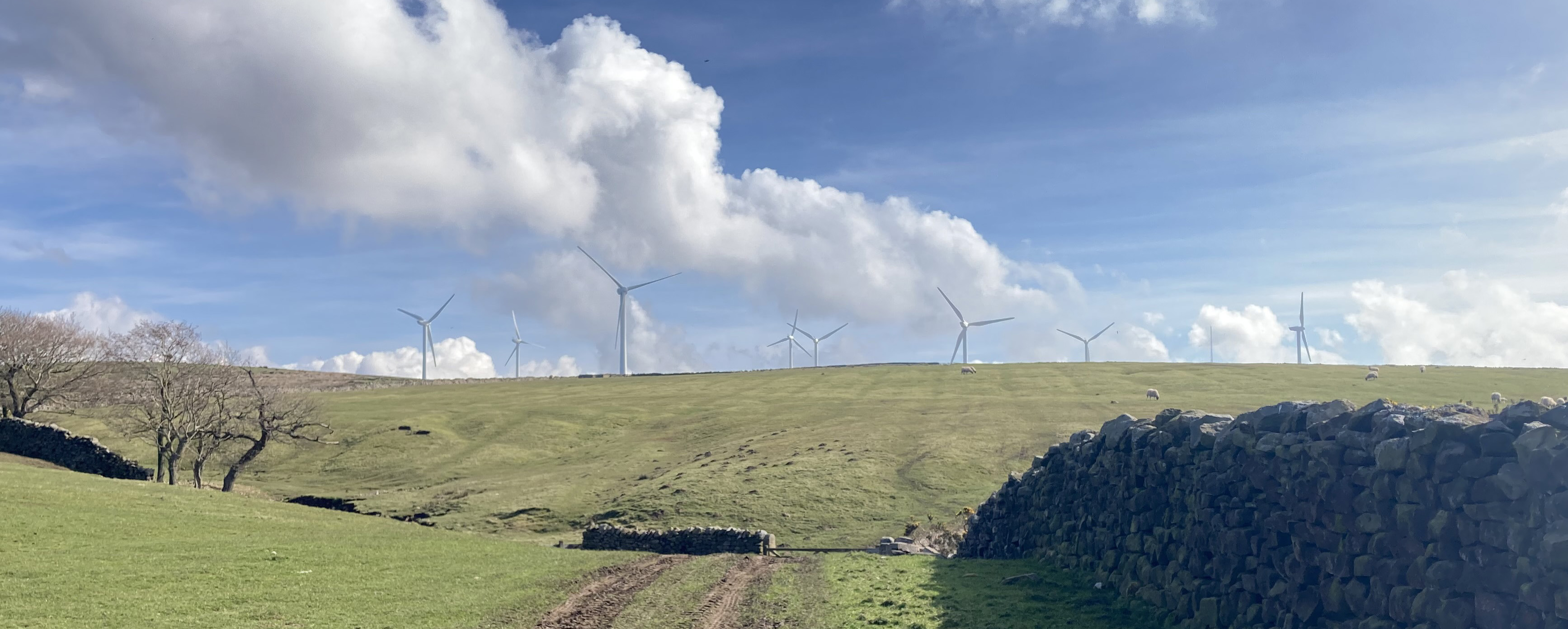 windmills