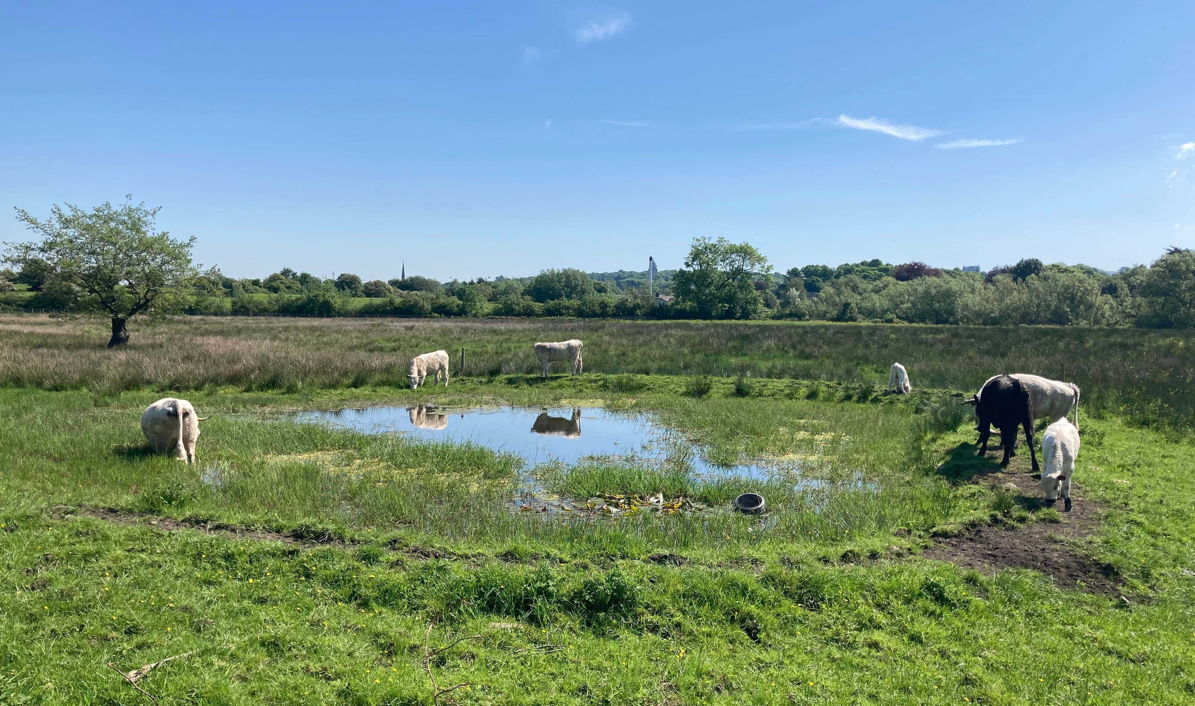 Fairfield Nature Reserve