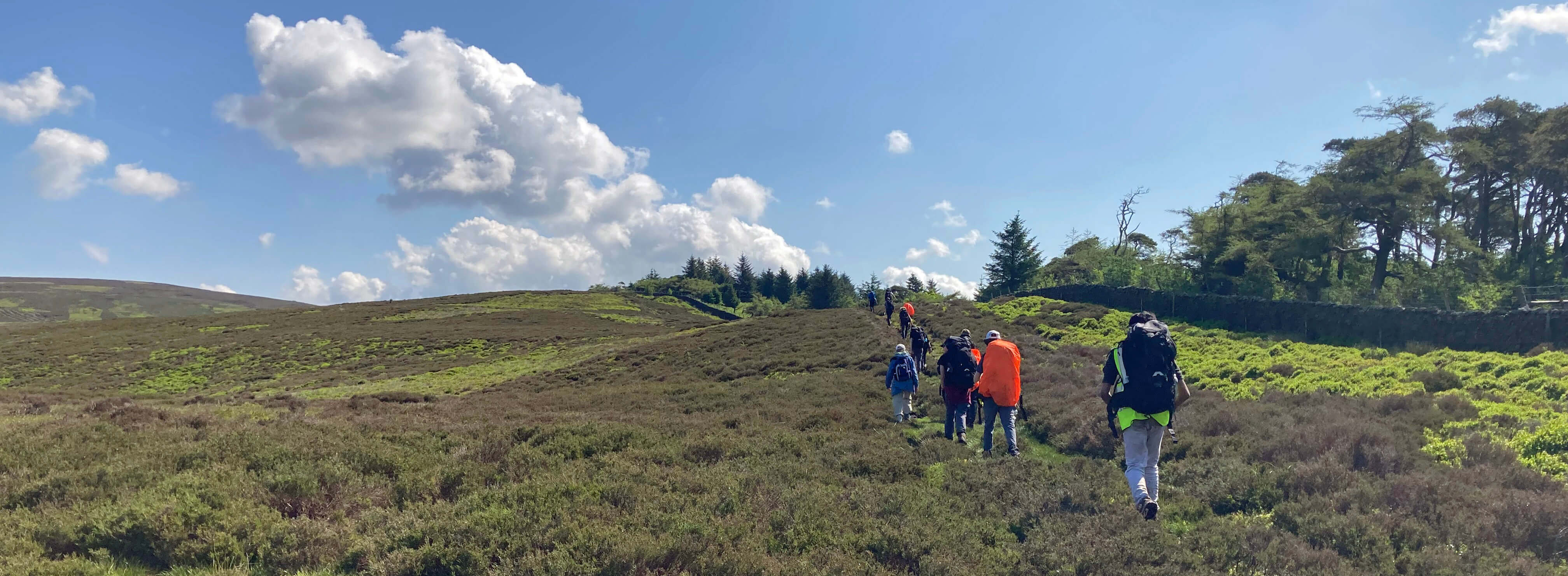 The path past Fell Plantation