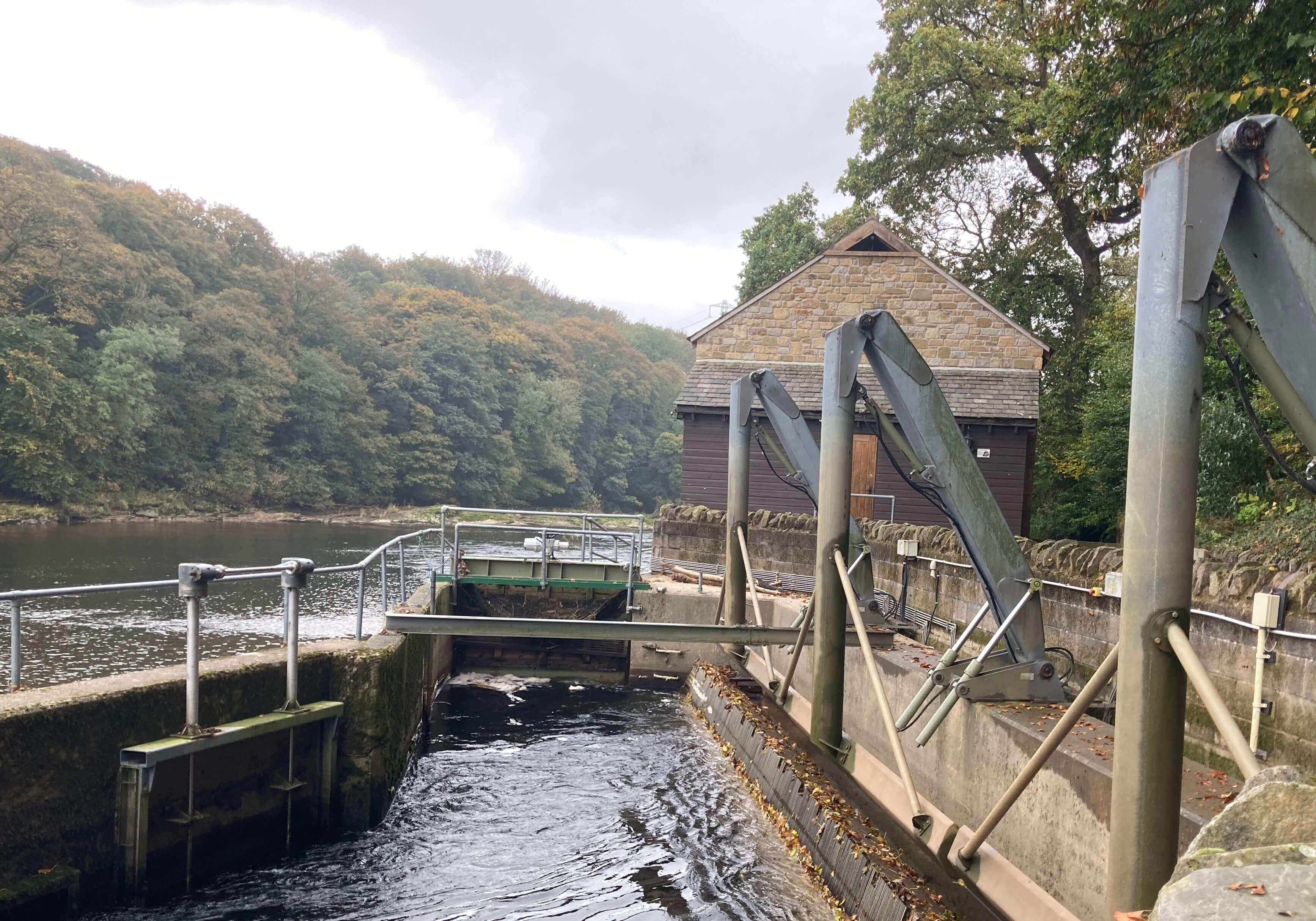 Halton Hydro