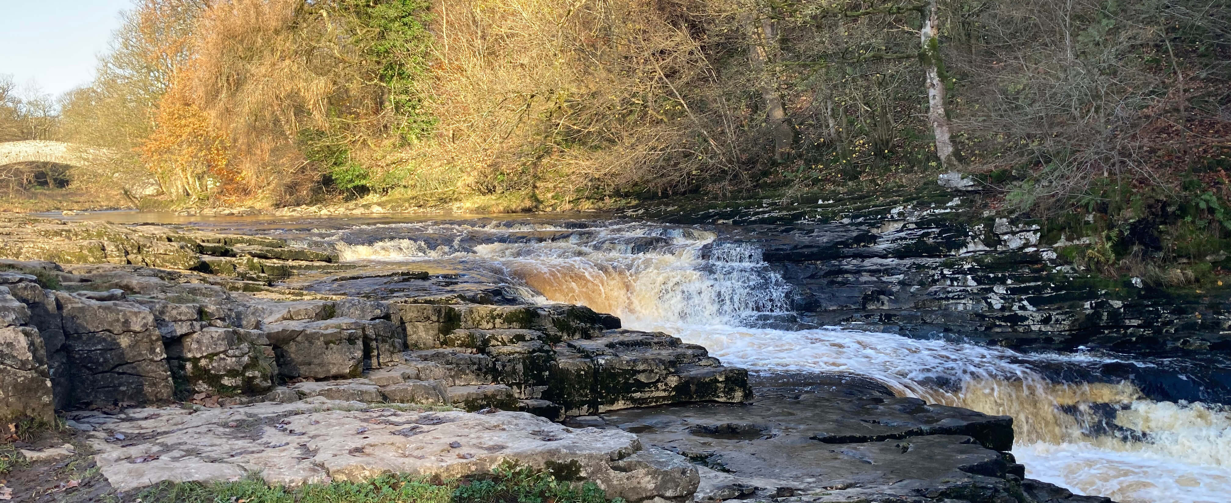 Stainforth Force