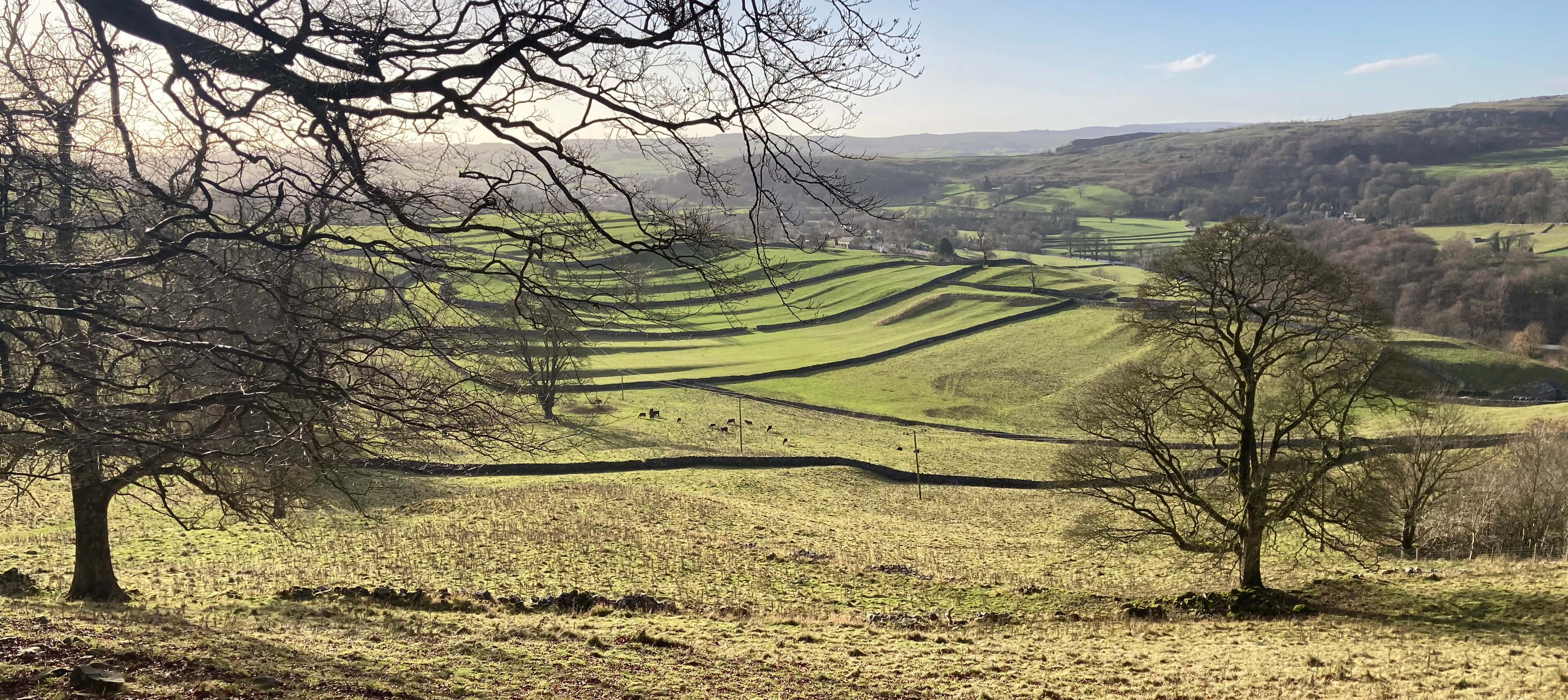 The view back towards Langcliffe