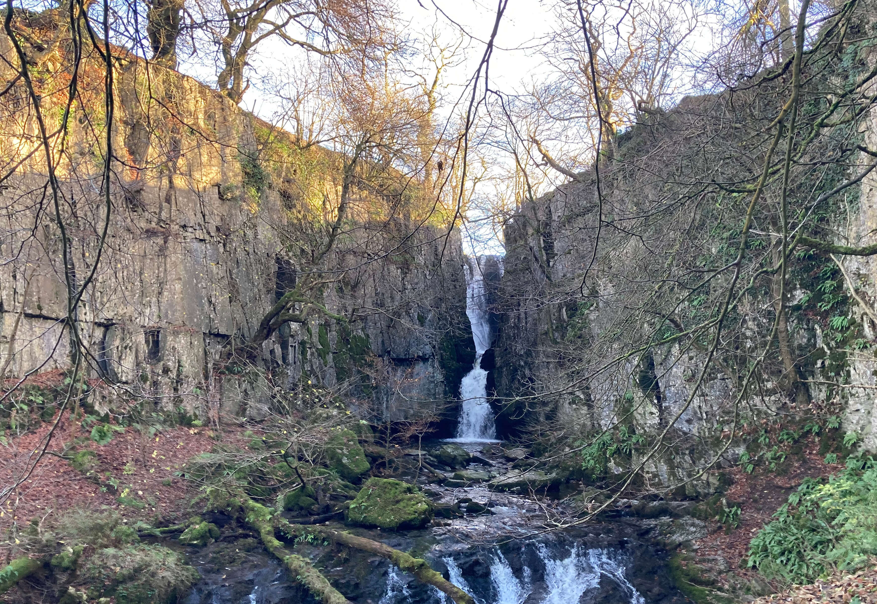 Catrigg Force