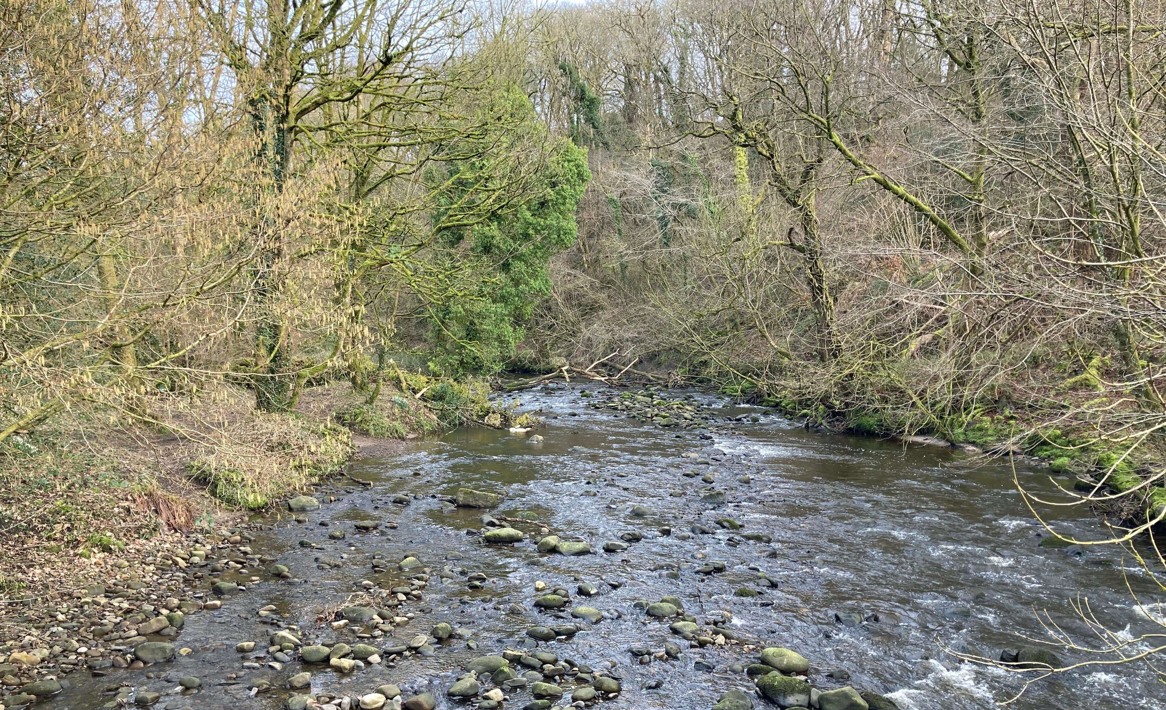 River Brock