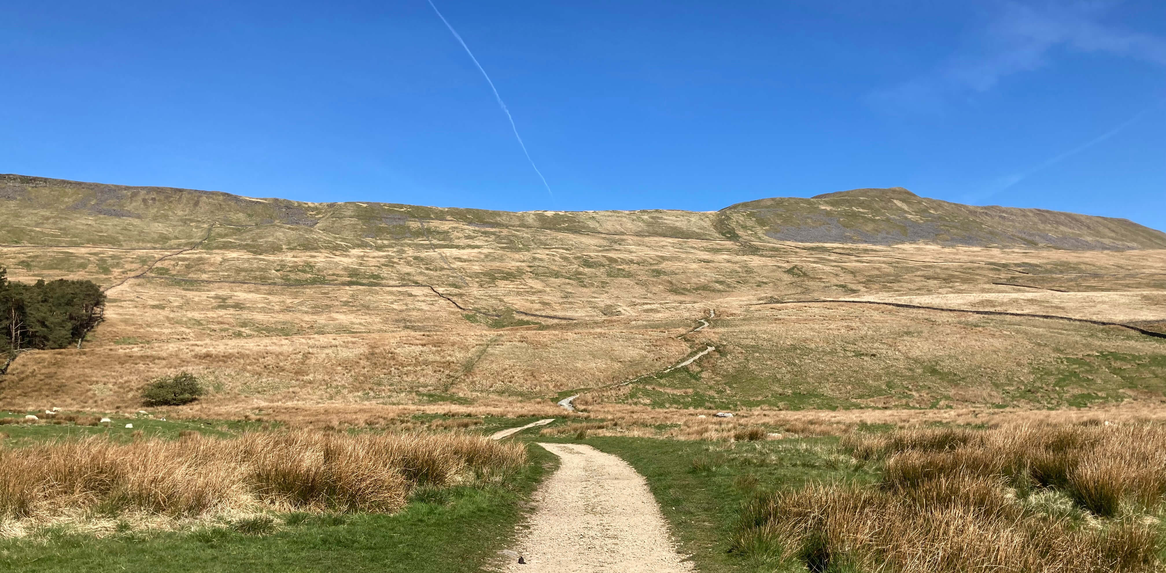 path up whernside
