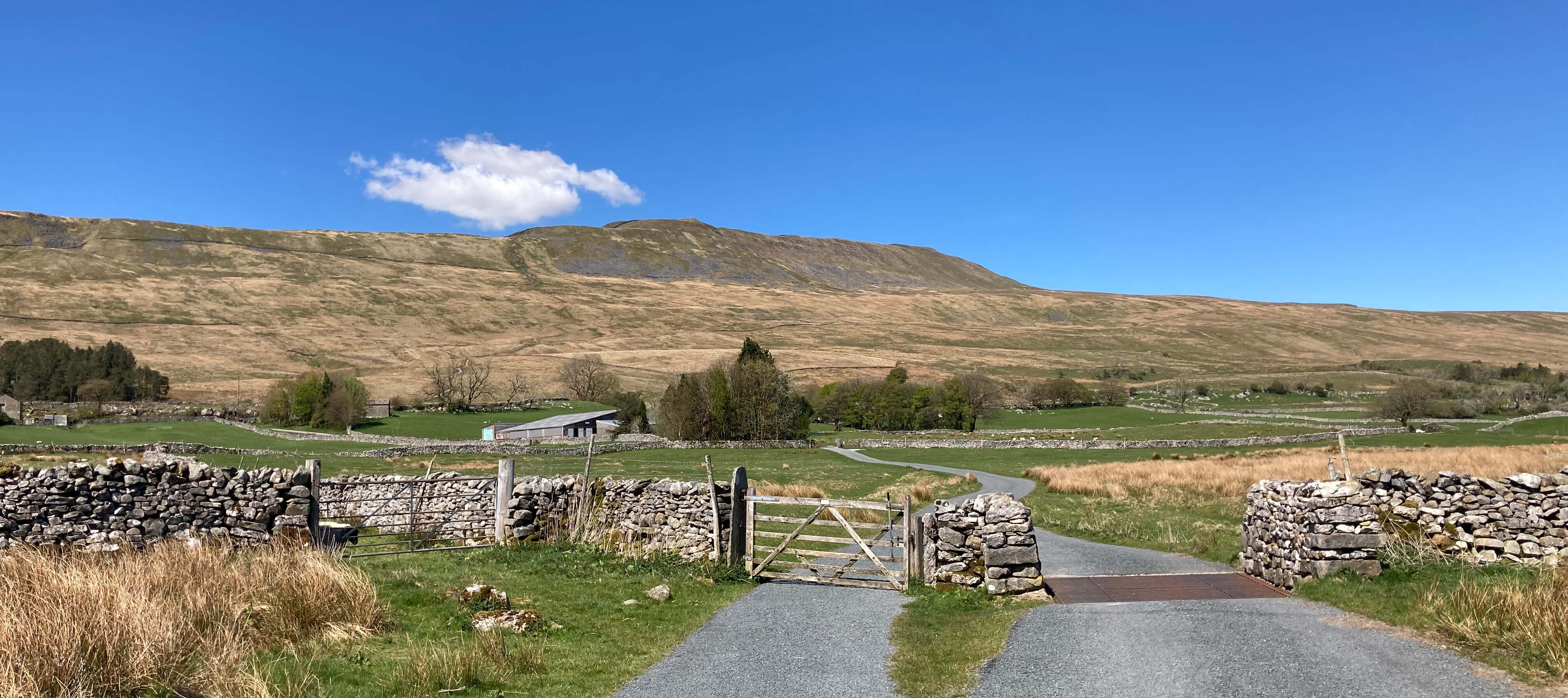 whernside