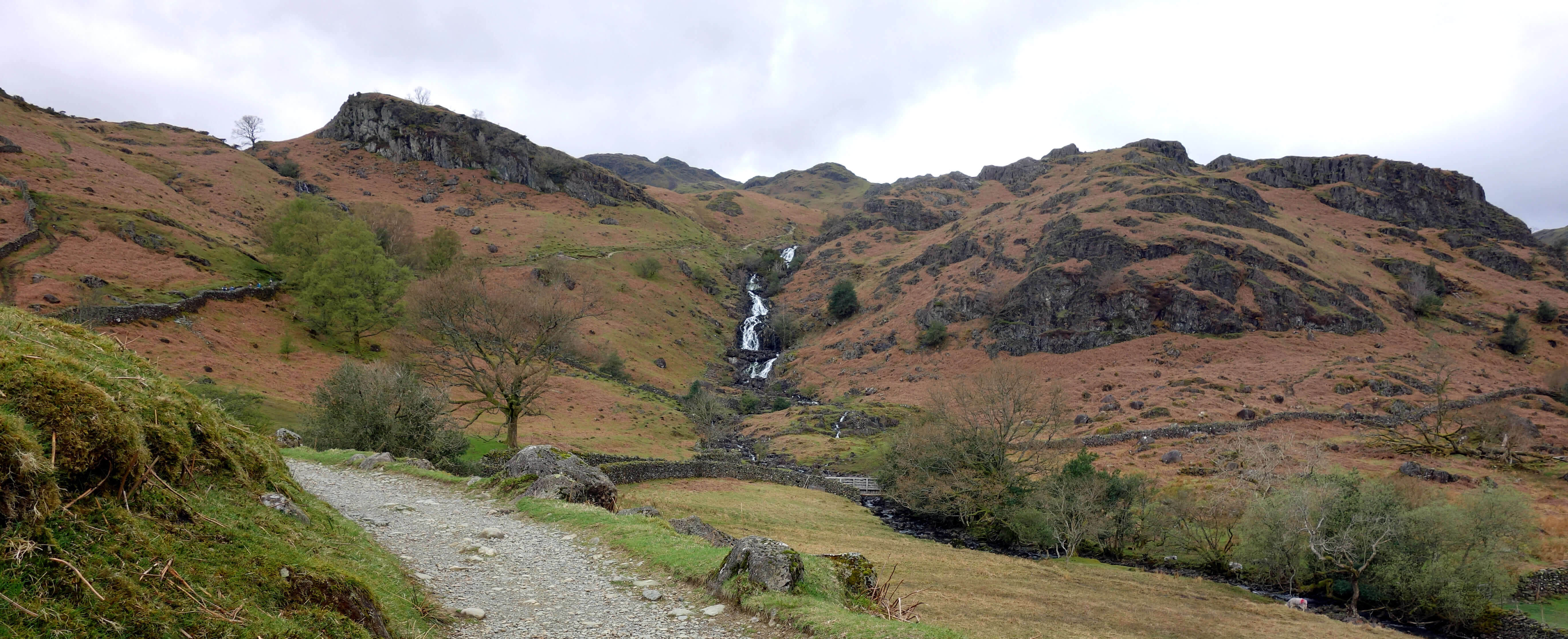 sourmilk gill